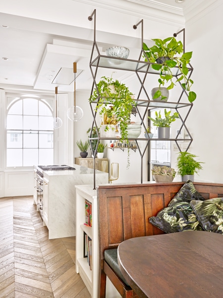Metal shelf frame with plants as a room divider concept